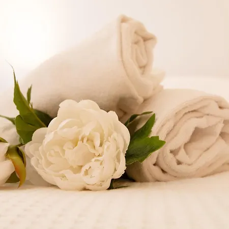 Apartament Bristol 12b By Interhome *