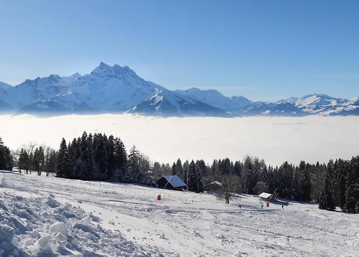 Bristol 12b By Interhome * Villars-sur-Ollon