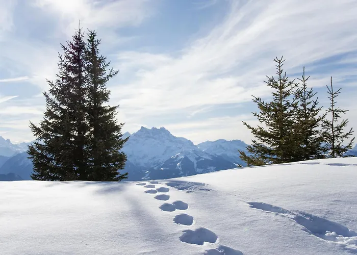 Bristol 12b By Interhome 公寓 威拉尔-苏-罗伦